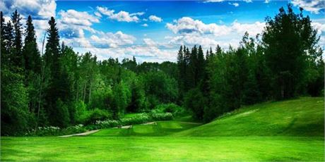 2027 Driving Range Punch Card for Aspen Grove Golf Course on PGBids